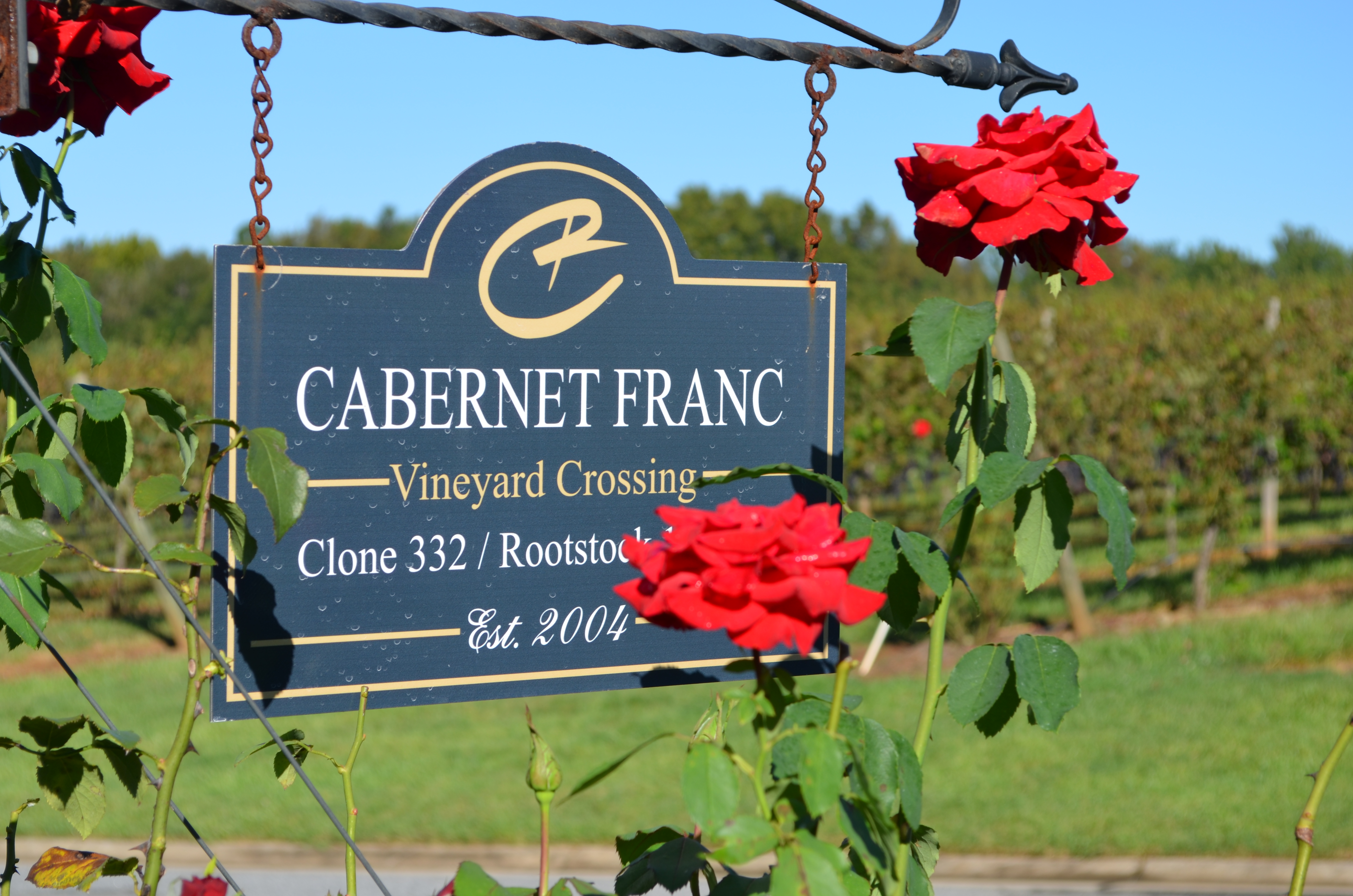 ./2013/Lexington NC/DSC_2961.JPG